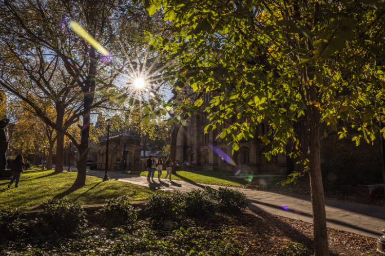 예일대 홈페이지 캡처. [Dan Renzetti]