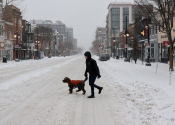 겨울 폭풍으로 눈으로 덮힌 워싱턴DC 거리. [로리터]