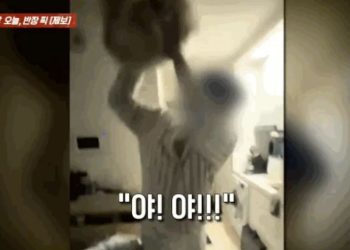 강아지를 들어 던지려는 남성. 사건반장 캡쳐