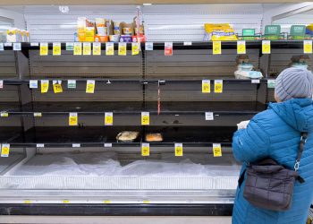 23일 미국 버지니아주 알링턴의 한 마트에서 주민이 한파 예보를 앞두고 비어 있는 달대에서 달걀을 고르고 있다. 미 전역 약 1억6천만 명에게 영향을 미칠 대규모 겨울 폭풍이 같은 날부터 강설과 어는 비를 동반할 것으로 예보되면서 여러 주가 비상사태를 선포했다. [로이터]