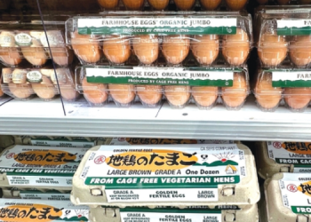 계란값이 30% 이상 하락했다. 마켓서 판매 중인 계란들. 박낙희 기자