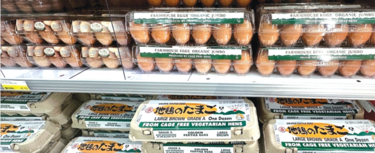 계란값이 30% 이상 하락했다. 마켓서 판매 중인 계란들. 박낙희 기자
