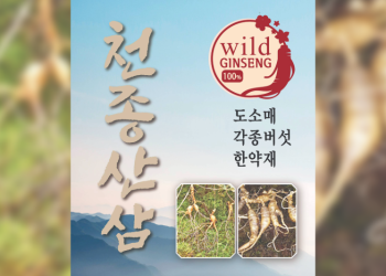 시온마켓으로 이전한 천종산삼.