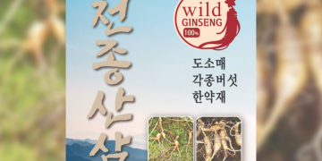 시온마켓으로 이전한 천종산삼.