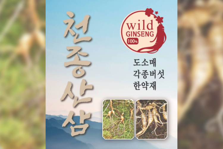 시온마켓으로 이전한 천종산삼.