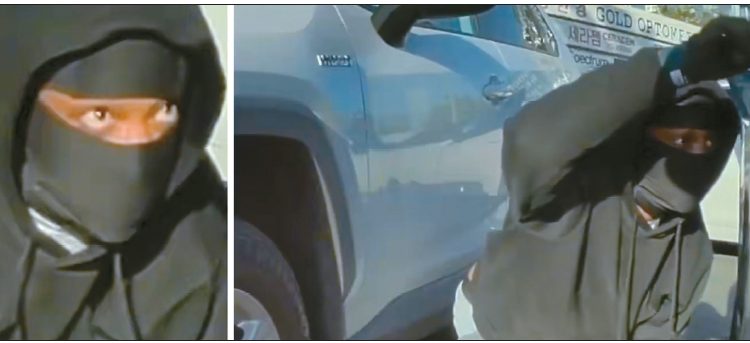 피해자 차량 블랙박스 카메라에 포착된 절도 용의자가 몸을 숙인 채 조수석 문을 여는 모습. [ABC7 캡처]