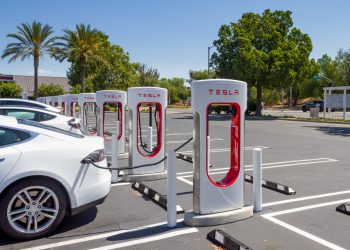 이미지 사진 [출처 셔터스톡]