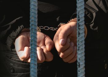 이미지 사진 [출처 셔터스톡]