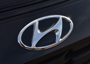 이미지 사진 [출처 셔터스톡]