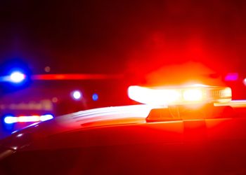 이미지 사진. [출처 셔터스톡]