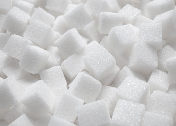 이미지 사진 [셔터스톡]