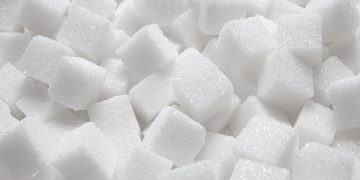 이미지 사진 [셔터스톡]