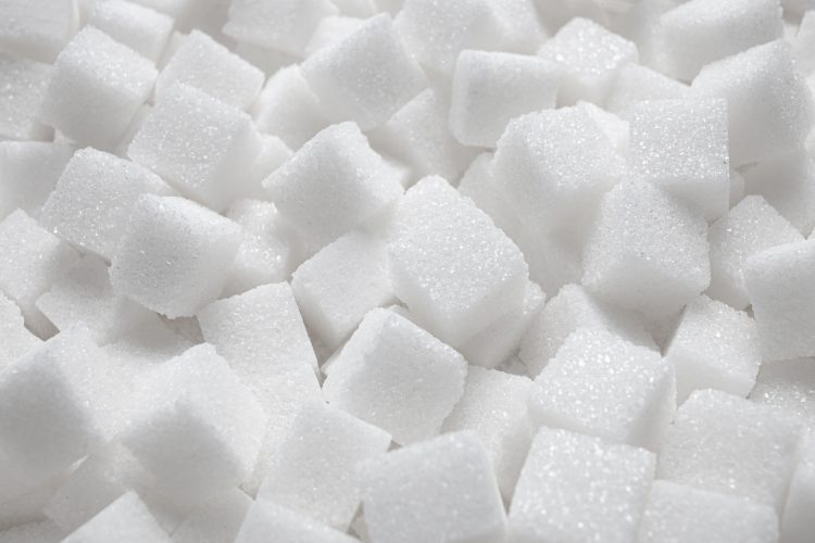 이미지 사진 [셔터스톡]