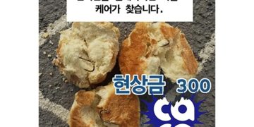 동물보호단체 ‘케어’가 나주 반려견 놀이터에 낚싯바늘이 박힌 빵이 살포된 사건과 관련해 현상금 300만원을 내걸었다. 사진 케어 인스타그램 캡처