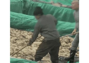 중국의 한 절임배추 공장에서 노동자가 담배를 피우고 침을 뱉는 장면이 포착됐다. 사진 엑스 캡처