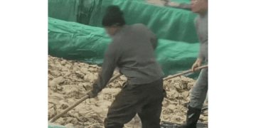 중국의 한 절임배추 공장에서 노동자가 담배를 피우고 침을 뱉는 장면이 포착됐다. 사진 엑스 캡처