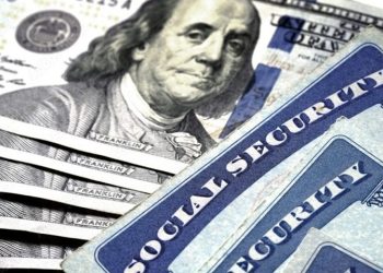 이미지 사진 [출처 셔터스톡]