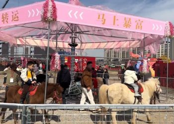 중국에서 논란이 된 살아있는 회전목마. 사진 더우인 캡처