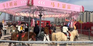 중국에서 논란이 된 살아있는 회전목마. 사진 더우인 캡처