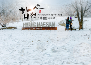 [합천군 홈페이지 캡처]