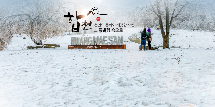 [합천군 홈페이지 캡처]