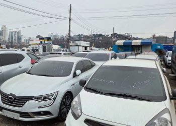 지난 11일 인천 연수구 중고차 수출단지에 수출을 기다리는 차량이 늘어선 모습. 판매가 확정된 차량엔 'Sold(판매된)'라고 표시돼 있다. 오삼권 기자