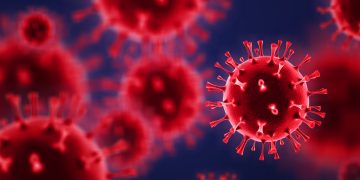 이미지 사진. [출처 셔터스톡]