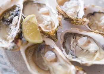 생굴 이미지 사진. 기사 내용과 관련 없음. [출처 셔터스톡]