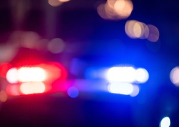 이미지 사진. [출처 셔터스톡]