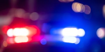 이미지 사진. [출처 셔터스톡]