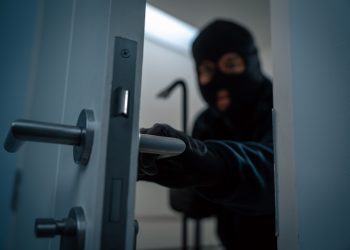 이미지 사진 [출처 셔터스톡]