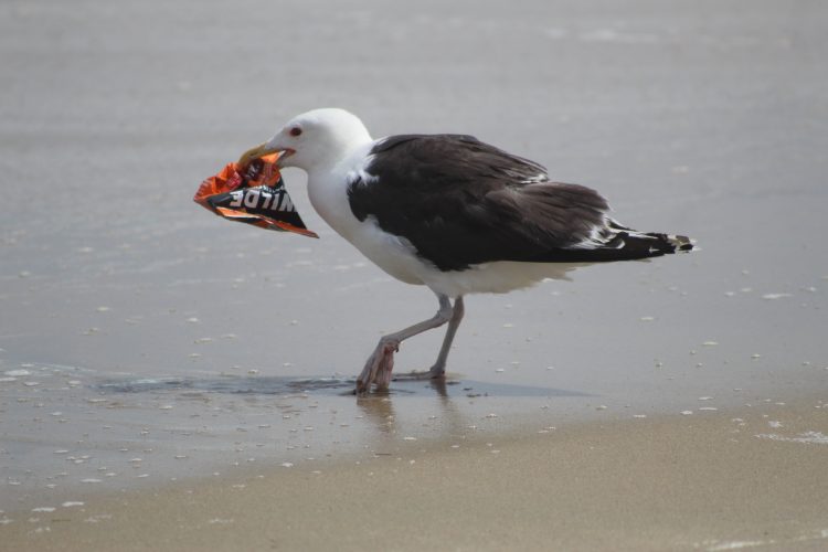 이미지 사진 [출처 셔터스톡]
