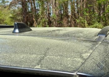 3월 23일 둘루스 주차장에 세워진 한 차량 위에 꽃가루가 가득 묻어있다. 윤지아 기자.