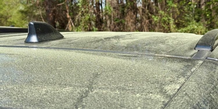 3월 23일 둘루스 주차장에 세워진 한 차량 위에 꽃가루가 가득 묻어있다. 윤지아 기자.