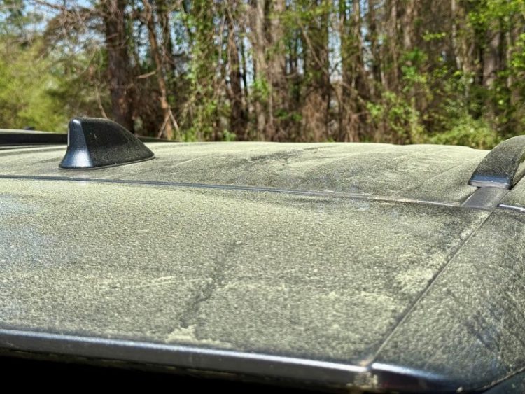 3월 23일 둘루스 주차장에 세워진 한 차량 위에 꽃가루가 가득 묻어있다. 윤지아 기자.