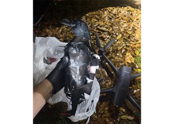 지난9일 미국 텍사스에서 드론을 이용해 마약 등의 밀수품이 담긴 플라스틱 까마귀 모형을 루이지애나주 연방 교도소로 반입하려던 여성 두 명이 체포됐다. 사진 그랜트 파리쉬 보안관 사무소 페이스북 캡처