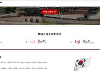 전자입국신고 관련 중국 불법 사이트. 관련 홈페이지 캡처