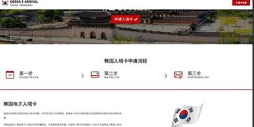 전자입국신고 관련 중국 불법 사이트. 관련 홈페이지 캡처