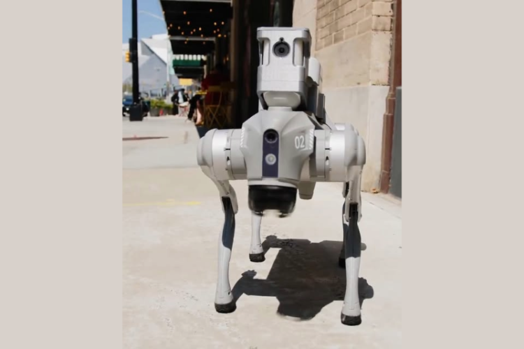 언돈티드 사의 로봇개. [페이스북 캡처]