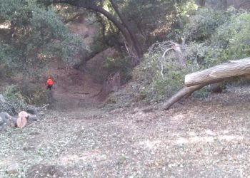 콜터 파인 트레일 [페이스북 캡처]