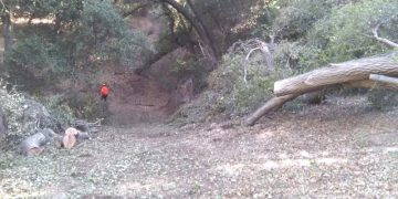 콜터 파인 트레일 [페이스북 캡처]