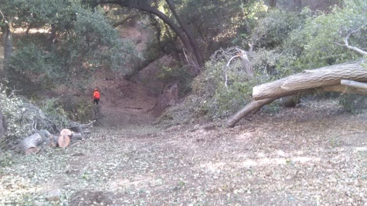 콜터 파인 트레일 [페이스북 캡처]