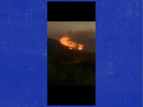 화이트 카운티 버저드 마운틴 산불 현장