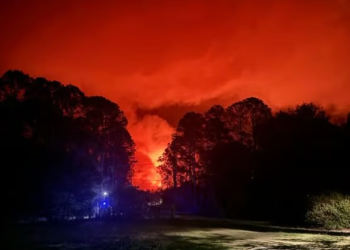 브랜틀리 카운티에서 확산되고 있는 산불. [소방국 제공]