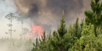 조지아 남부 클린치 카운티에서 확산되고 있는 산불. [산림위원회 제공]