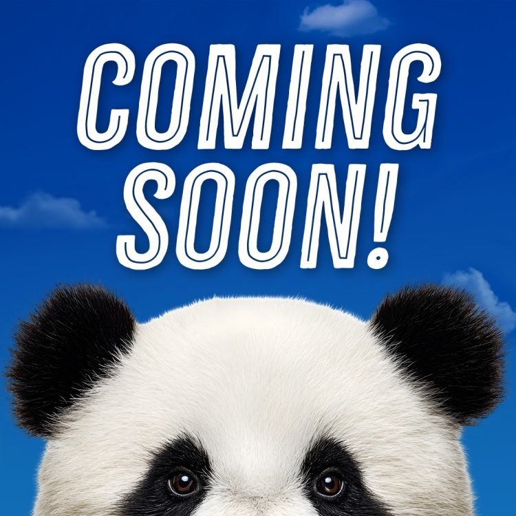 애틀랜타 동물원 제공