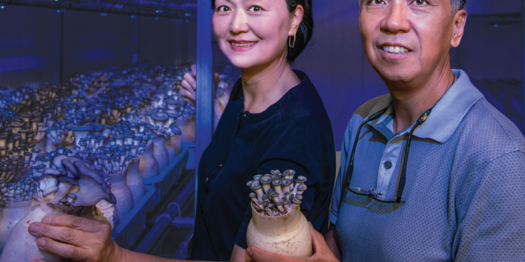 그린 박스 머쉬룸 농장을 운영하는 문정환·문은주 씨 부부.