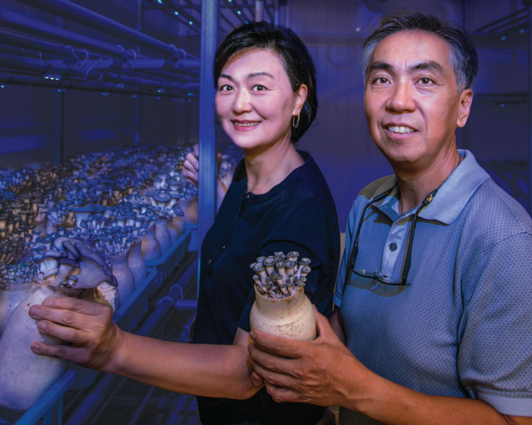 그린 박스 머쉬룸 농장을 운영하는 문정환·문은주 씨 부부.