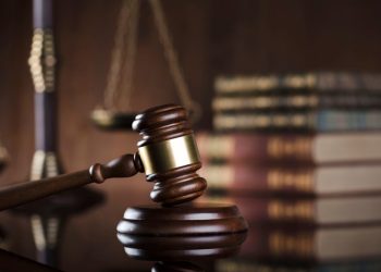 이미지 사진. [출처 셔터스톡]