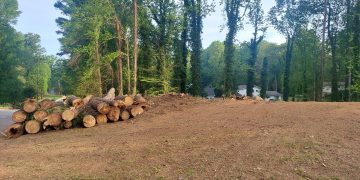 강스 트리 서비스 제공